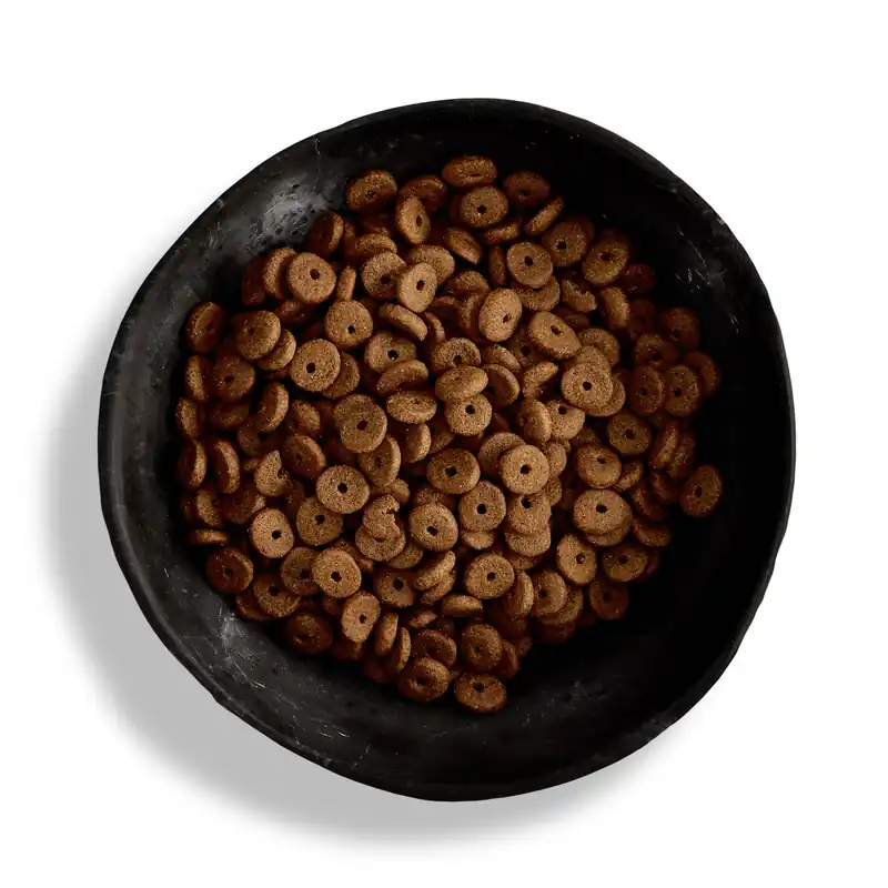 Sparpaket 2 x 12 kg Canagan Light/Senior Hunde Trockenfutter Preisknaller